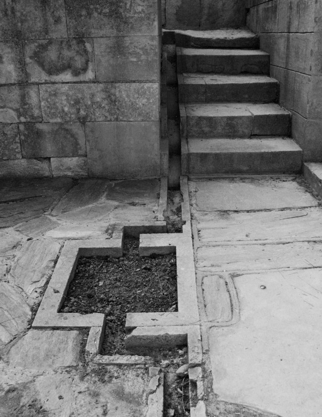 Stepped water channe bwl