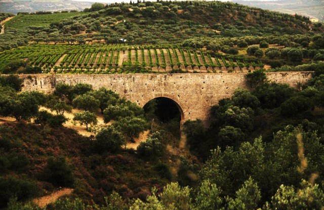 Crete  09 Zakros Myrtos 191 - Copy
