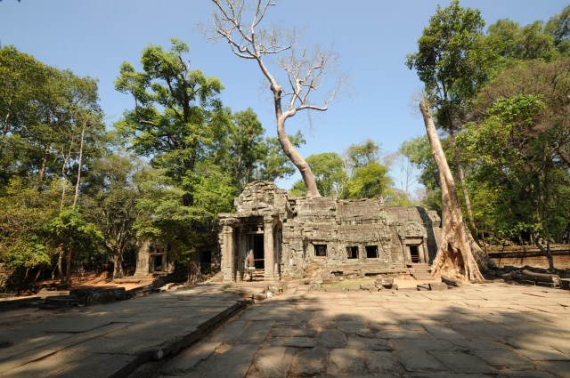Ta Prohm